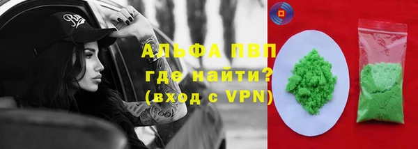 spice Гусиноозёрск