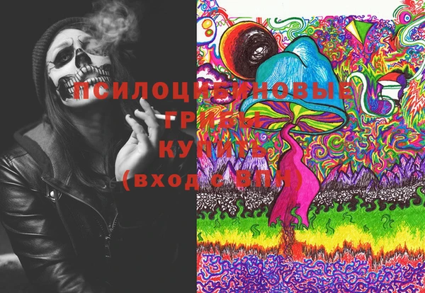 гидропоника Гусь-Хрустальный